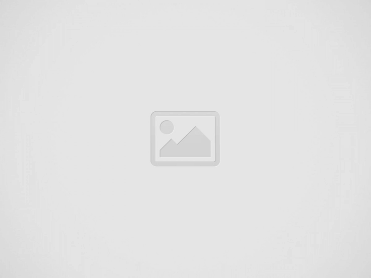 子犬の健康管理　（繁殖者編）