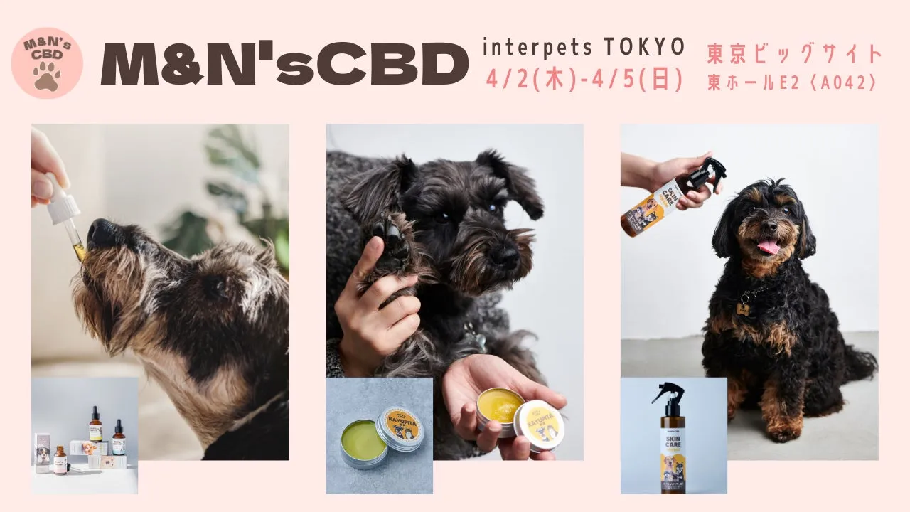 犬用のCBD製品とイベント告知
