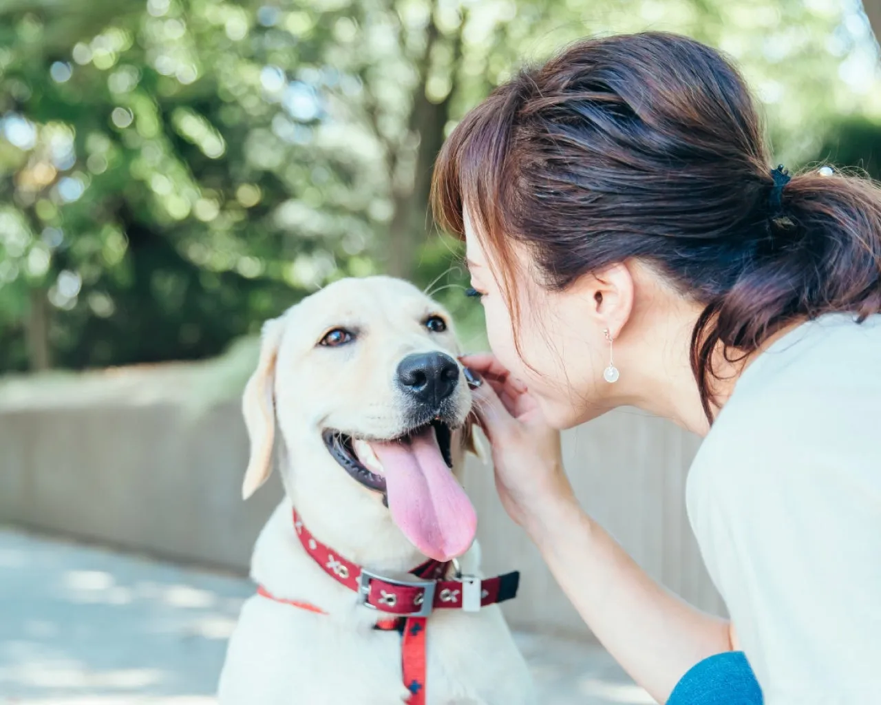 犬と女性の触れ合い
